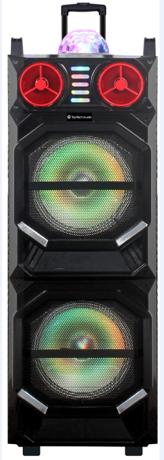 Fully Amplified Portable 8000 Watts Peak Power 2x10” Bluetooth Speaker