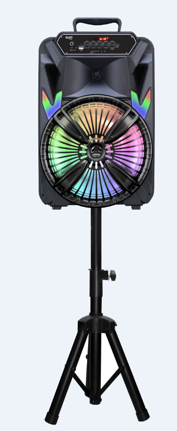 Fully Amplified Portable 4000 Watts Peak Power 12” Speaker