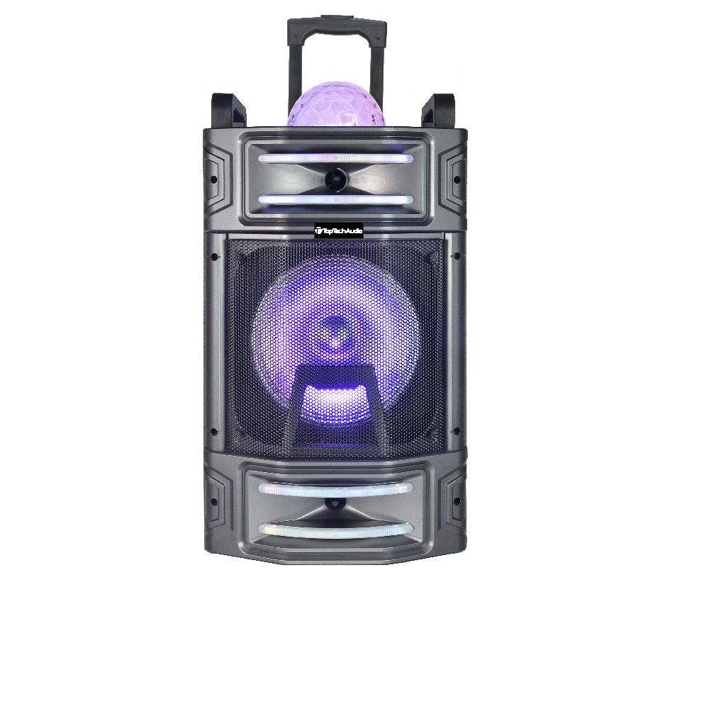 Fully Amplified Portable 4000 Watts Peak Power 10” Speaker with Bluetooth