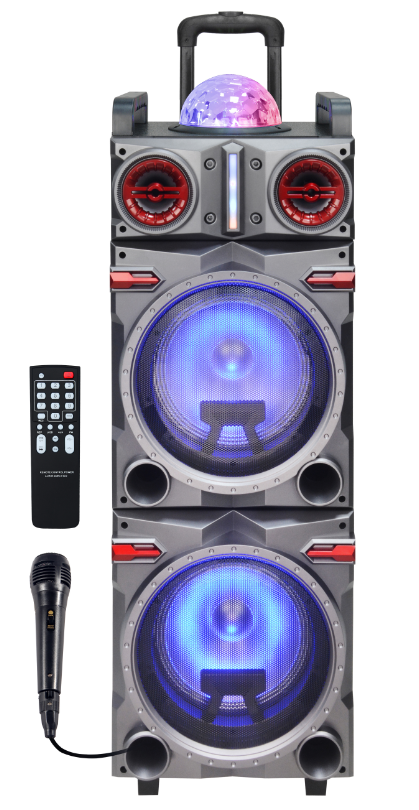 Fully Amplified Portable 8000 Watts Peak Power 2x10” Speaker