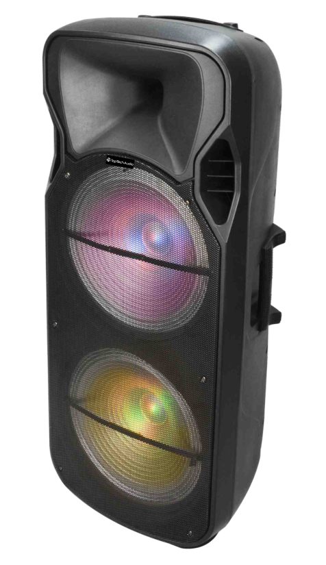 Fully Amplified Portable 10000 Watts Peak Power 2x15” Speaker