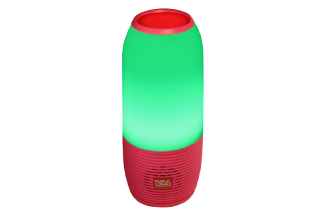 Portable Bluetooth Speaker with FM/Micro-SD