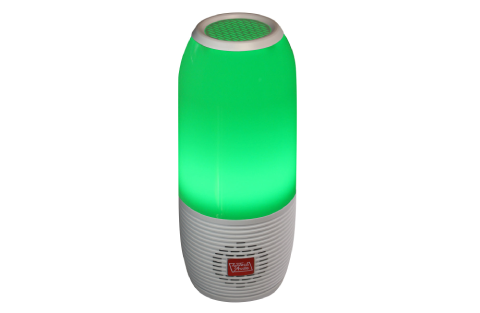 Portable Bluetooth Speaker with FM/Micro-SD