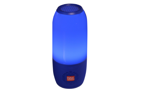 Portable Bluetooth Speaker with FM/Micro-SD
