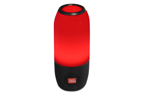 Portable Bluetooth Speaker with FM/Micro-SD
