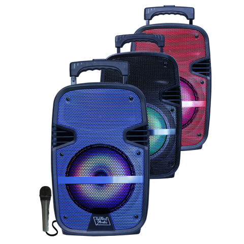 Fully Amplified Portable 2500 Watts Peak Power 15” Speaker with LED LIGHT