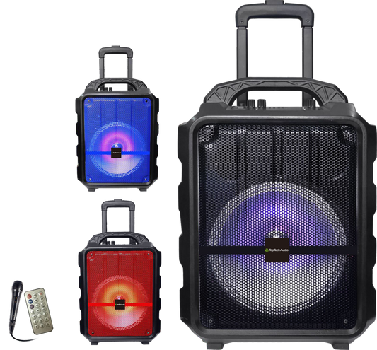 Fully Amplified Portable 3000 Watts Peak Power 10” Speaker