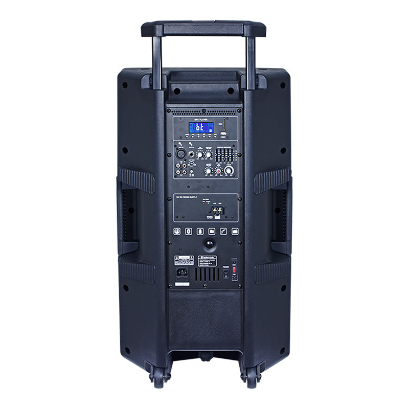 Fully Amplified Portable 5000 Watts Peak Power 15” Speaker W/LED LIGHT