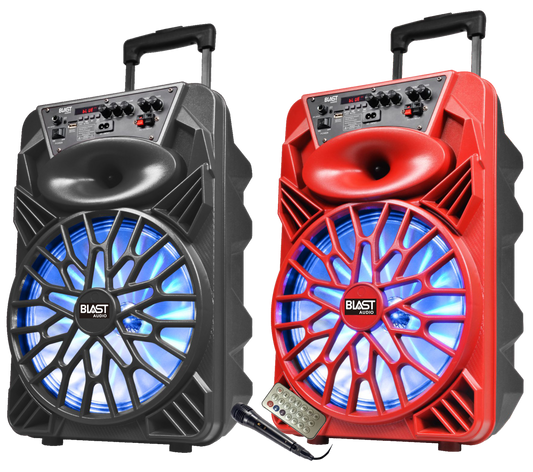 Fully Amplified Portable 4000 Watts Peak Power 12” Speaker