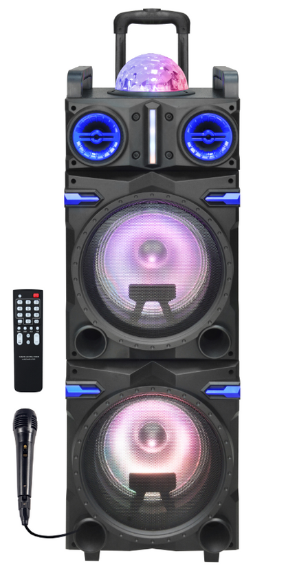 Fully Amplified Portable 8000 Watts Peak Power 2x10” Speaker