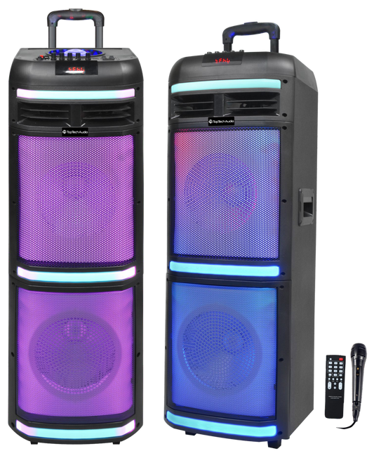 Fully Amplified Portable 10000 Watts Peak Power 2x10” Speaker