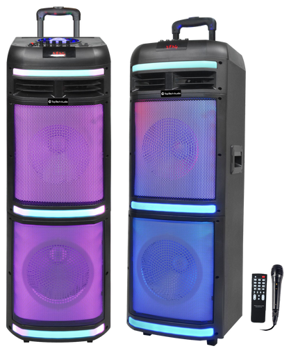 Fully Amplified Portable 10000W Peak Power 2x10" Speaker with Wired Mic & Remote