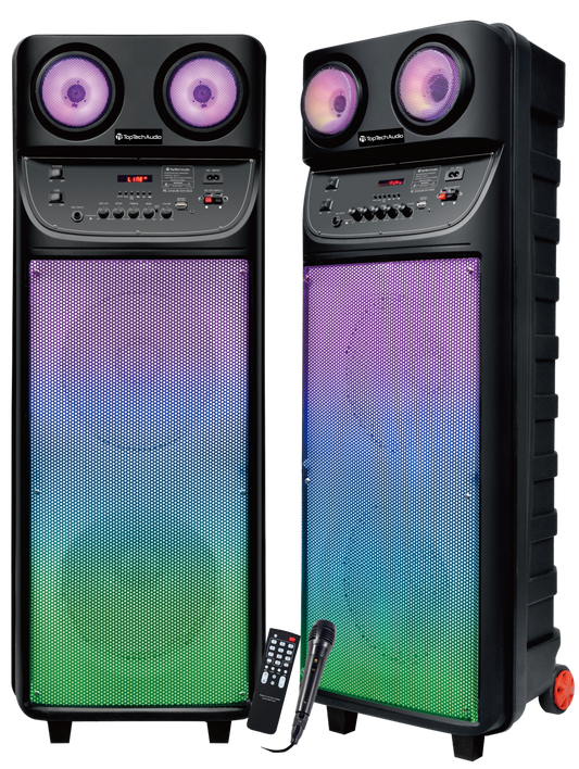 Fully Amplified Portable 10000 Watts Peak Power 2x10” Speaker
