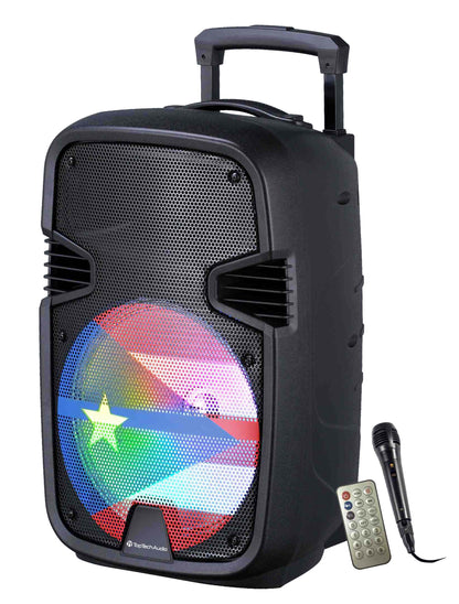 Fully Amplified Portable 4500 Watts Peak Power 12” Speaker with led light