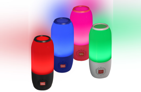 Portable Bluetooth Speaker with FM/Micro-SD