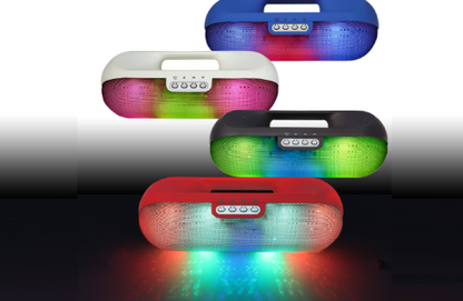 Portable Bluetooth Speaker with FM Radio and Micro-SD – Versatile Music Hub