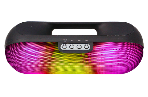 Portable Bluetooth Speaker with FM/Micro-SD