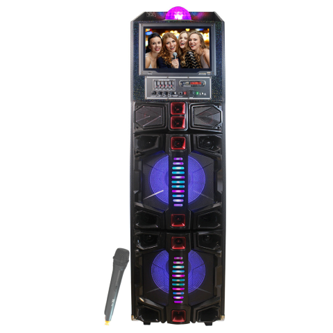 TOPTECH TAB-212, 2×12 Inch Bluetooth Rechargeable Speakers with Dynamic LED Lights & Disco Ball, True Wireless Stereo Sound with Wireless Mic, Support Android/Tablet/USB/Guitar /Karaoke Inputs, Up to 10 Meters (33ft) Bluetooth Distance for Party Outdoor