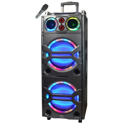 TOPTECH TTR-210 BT, 2×10 Inch Bluetooth Speaker with HD Loud Stereo Sound, Multicolored LED Light Effects, Portable Wireless of Wireless Mic,Long Playtime for Outdoor Party
