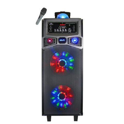 Fully Amplified Portable 2000 watts Peak Power Double 10” Speaker with DISCO BALL