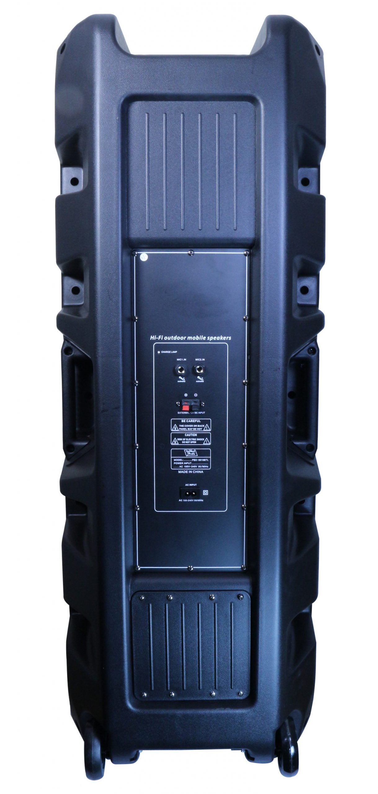 Fully Amplified Portable 5000 Watts Peak Power 2 x 15” Speaker WITH LED LIGHT