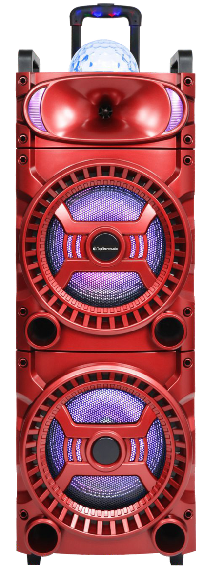 Fully Amplified Portable 8000 Watts Peak Power 2x10” Speaker