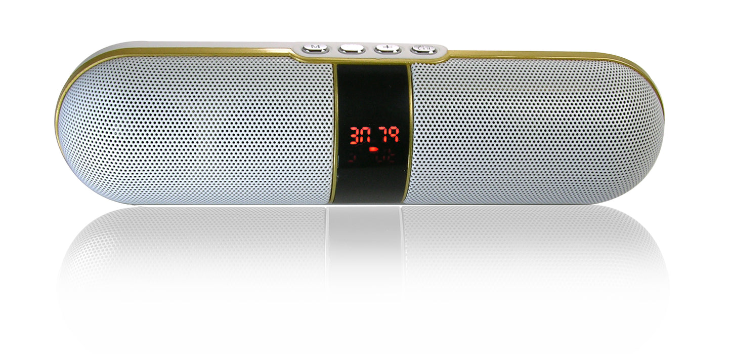Portable Rechargeable Bluetooth Speaker With FM/USb/Micro-SD