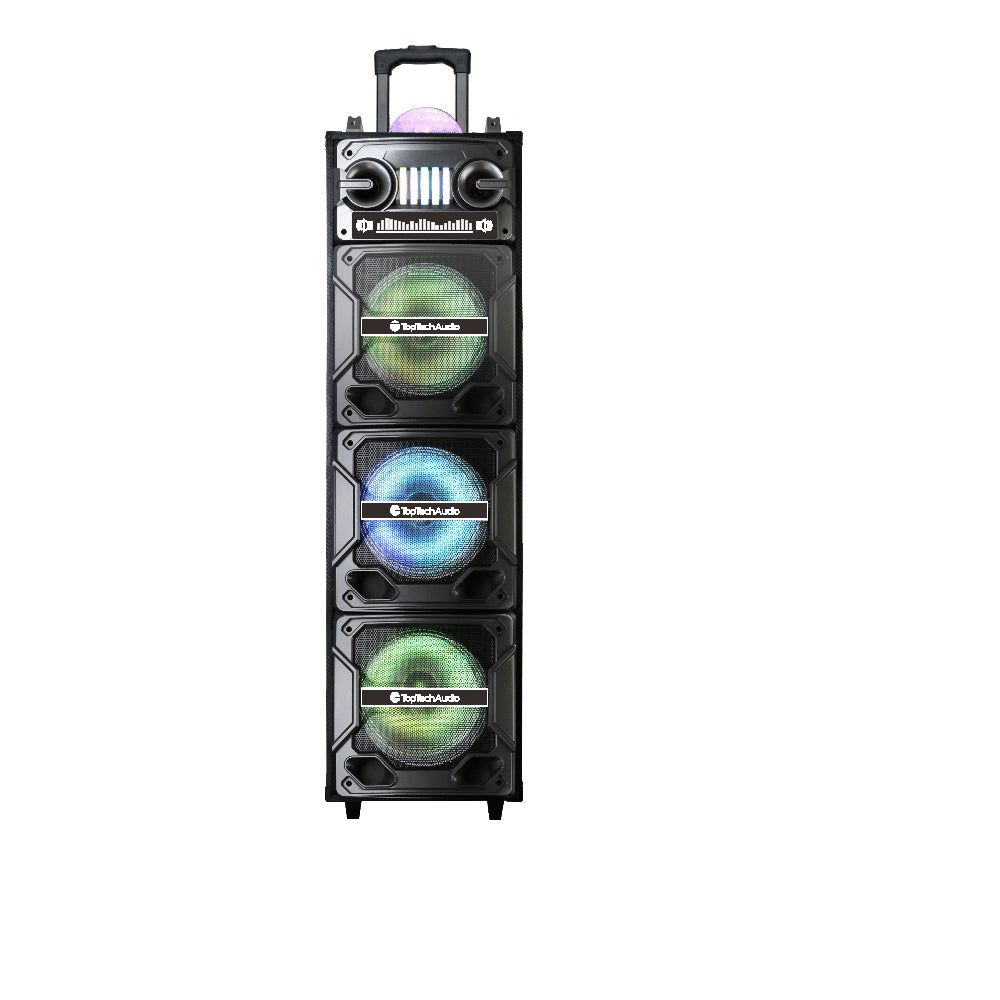 Star-310 Fully Ampliﬁed Multimedia Rechargeable Speaker 7000 Watts Peak Power